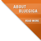 about bluegiga